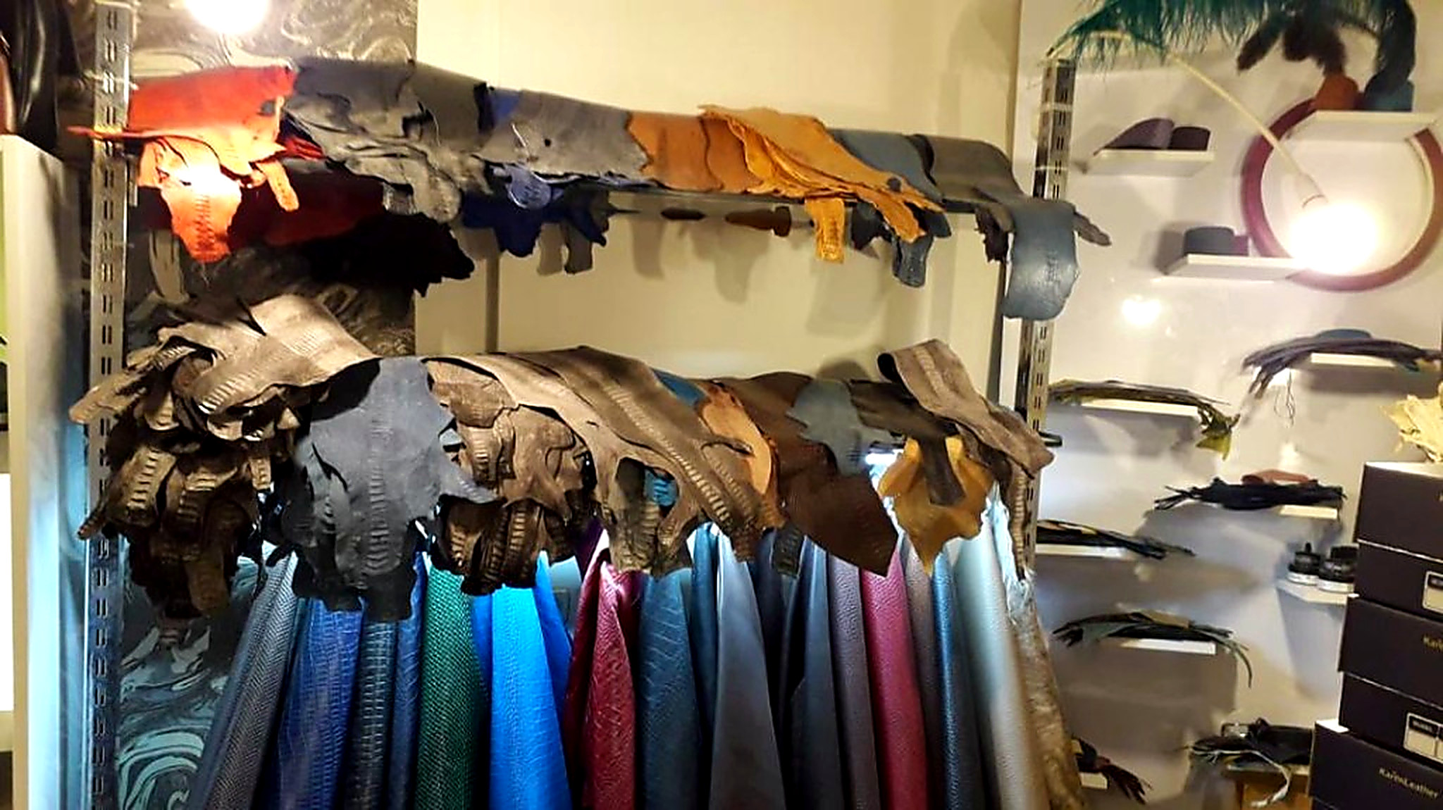 نمایش سه‌طبقه پوست بدن، ساق و ورق رنگ‌شده
