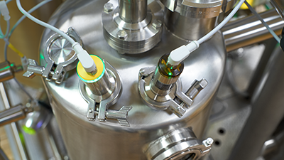 VEGA point-level sensors mounted on a hygienic stainless tank